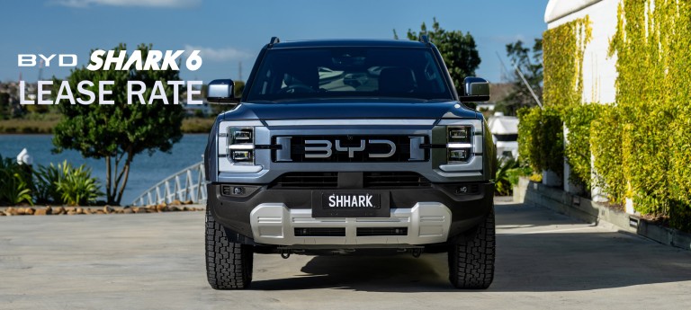 Shark Lease Rate